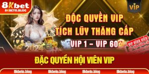 15-dac-quyen-hoi-vien-vip