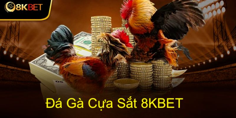 da-ga-cua-sat-co-tinh-sat-thuong-cao